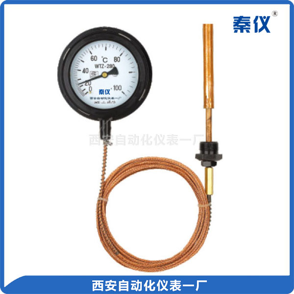 WTZ、WTQ 系列壓力式溫度計(jì)